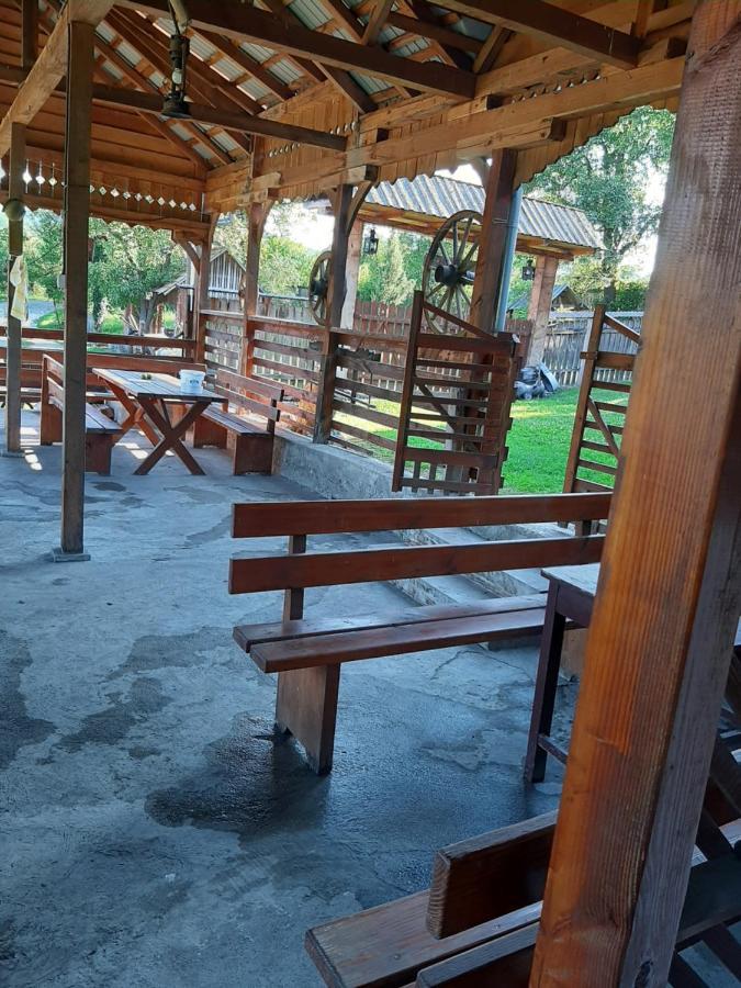 Pensiunea Codru Salciua de Jos Экстерьер фото